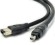 TRUEAV PureLink FireWire 6pin to 4pin �� 26842