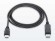 TrueAV DisplayPort  to HDMI 1.8m �� DPA-004