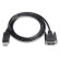 TrueAV DisplayPort  to DVI Cable 1.8m �� DPA-006