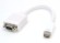 TrueAV Mini-DVI to VGA Adapter �� MDA-002