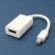 TrueAV  Mini Displayport to HDMI adapter �� MDPH-15CM