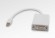 TrueAV  Mini Displayport to DVI adapter �� MDPD-15CM
