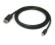 TrueAV  ultraspeed mini Displayport to Displayport cable 2m �� MDP-005