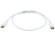 1m 28AWG DisplayPort Cable - White 3ft 28AWG DisplayPort Cable - White Cables - DisplayPort