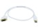 1m 28AWG DisplayPort to DVI Cable - White 3ft 28AWG DisplayPort to DVI Cable - White Cables - DisplayPort