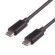 TrueAV  USB 3.1 Type C to USB Type C ���̺�1m �� TUSB314