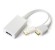 ǰ��TrueAV HDMI to DisplayPort ��ȯ����� ���̺� TMC054