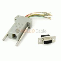 �����ڳ��� RJ45 2�� ��9P/F ��