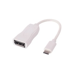 TrueAV USB 3.1 Type-C to Displayport �����